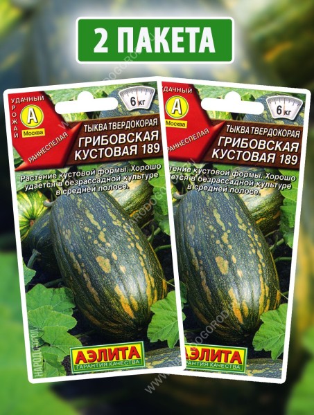 Семена Тыква твердокорая Грибовская Кустовая 189, 2 пакетика по 1г