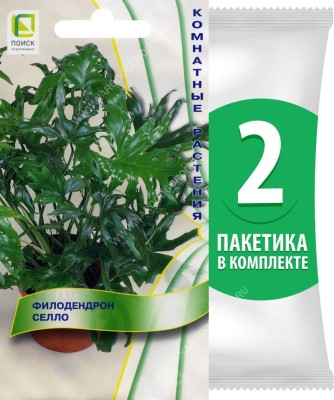 Семена Филодендрон селло Комнатные растения, 2 пакетика по 3шт