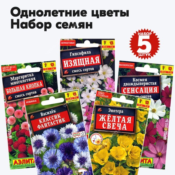 Набор семян цветов однолетних для сада (василек, космея, гипсофила, энотера, маргаритка) - 5 пакетиков
