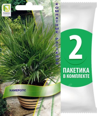 Семена Хамеропс (веерная пальма) Комнатные растения Суккуленты, 2 пакетика по 2шт