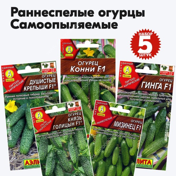 Семена огурцов самоопыляемых раннеспелых (партенокарпические), комплект 5 пакетиков