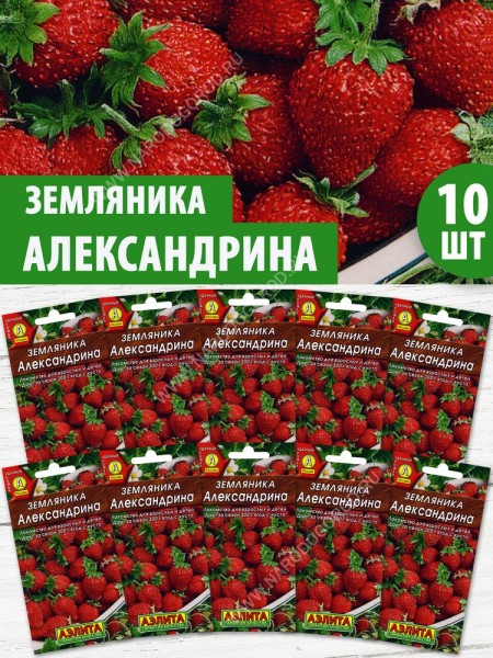 Семена Земляника ремонтантная альпийская Александрина, 10 пакетиков по 0,04г/100шт