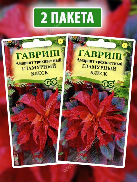 Семена Амарант трехцветный Гламурный Блеск, 2 пакетика по 0,1г