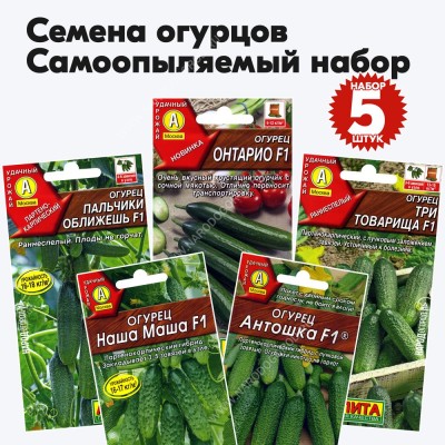 Семена огурцов самоопыляемых (партенокарпические), комплект 5 пакетиков