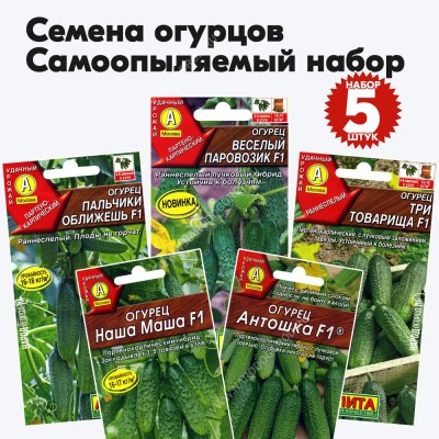 Семена огурцов самоопыляемых (партенокарпические), комплект 5 пакетиков