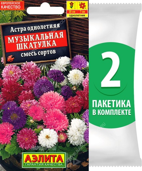 Семена Астра карликовая королевская махровая Музыкальная Шкатулка смесь сортов, 2 пакетика по 0,2г