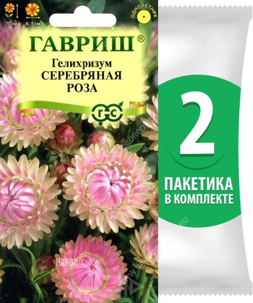 Семена Гелихризум бессмертник Серебряная Роза, 2 пакетика по 0,01г