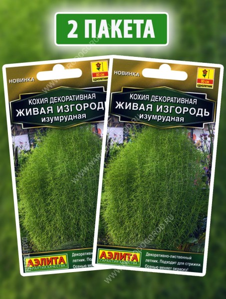 Семена Кохия кипарис Живая Изгородь Изумрудная, 2 пакетика по 0,1г