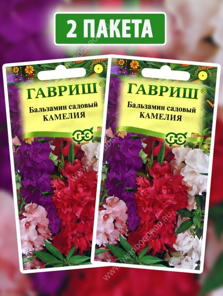 Семена Бальзамин садовый Камелия, 2 пакетика по 0,1г