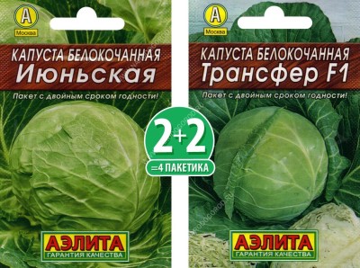 Семена овощей Капуста белокочанная Июньская + Трансфер, по 2 пакетика каждого