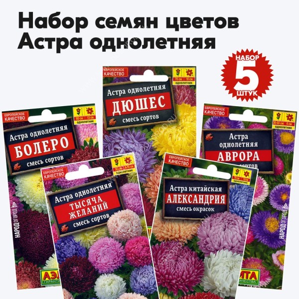 Семена цветов Астра однолетняя - набор 5 пакетиков