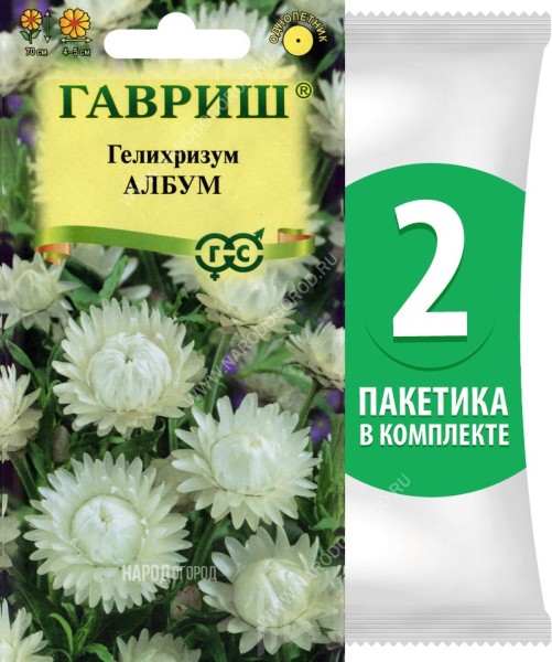 Семена Гелихризум бессмертник Албум, 2 пакетика по 0,1г
