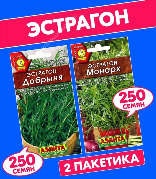 Семена Эстрагон (полынь или тархун, драконья трава) Добрыня + Монарх, 2 пакетика