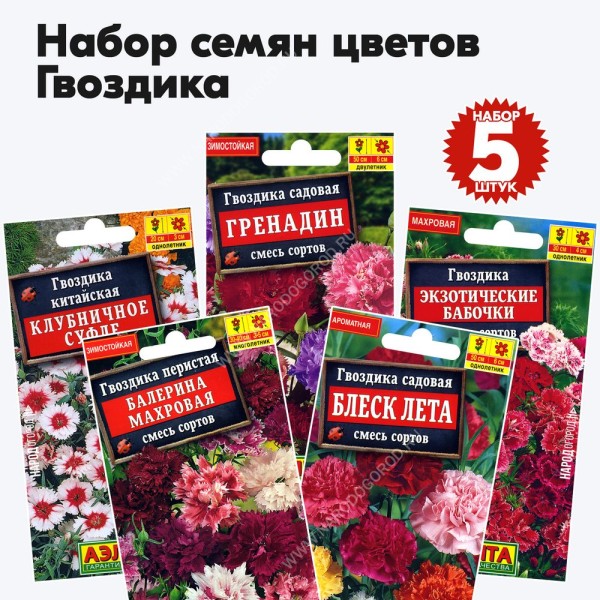 Семена цветов Гвоздика (китайская, садовая, перистая) для сада дачи - набор 5 пакетиков