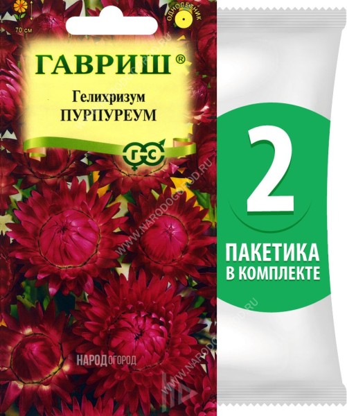 Семена Гелихризум бессмертник Пурпуреум, 2 пакетика по 0,1г