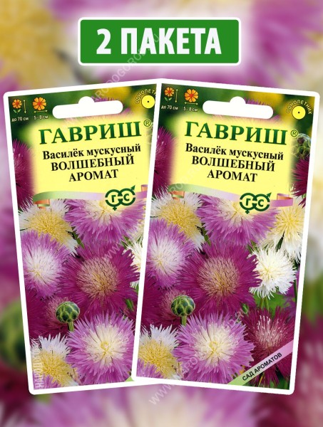 Семена Василек мускусный Волшебный Аромат, 2 пакетика по 0,1г