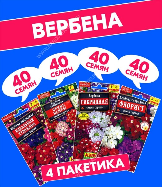 Семена Вербена Идеальный Художник + Флорист + Яркие Искры + Гибридная смесь сортов, 4 разных пакетика