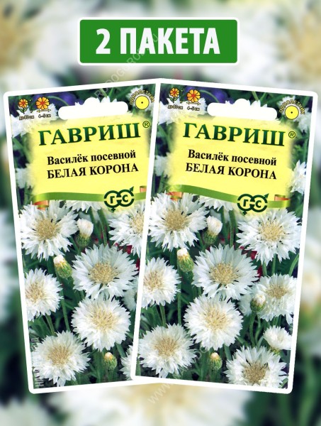 Семена Василек посевной Белая Корона, 2 пакетика по 0,2г