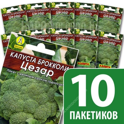 Семена Капуста брокколи для посадки Цезар, 10 пакетиков по 0,3г/50шт