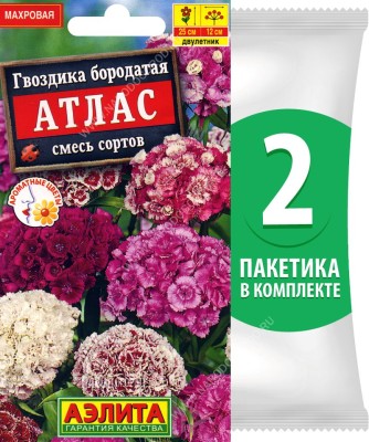 Семена Гвоздика бородатая Атлас турецкая махровая смесь сортов, 2 пакетика по 0,1г