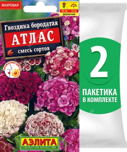 Семена Гвоздика бородатая Атлас турецкая махровая смесь сортов, 2 пакетика по 0,1г
