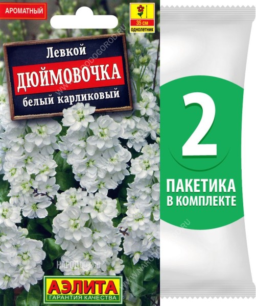Семена Левкой карликовый Дюймовочка Белый, 2 пакетика по 30шт