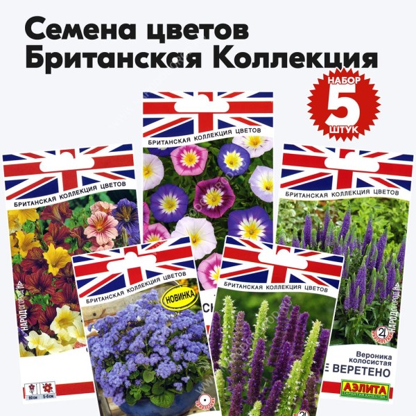 Семена цветов для сада (сальпиглоссис, агастахе, агератум, вероника, вьюнок), набор 5 пакетиков