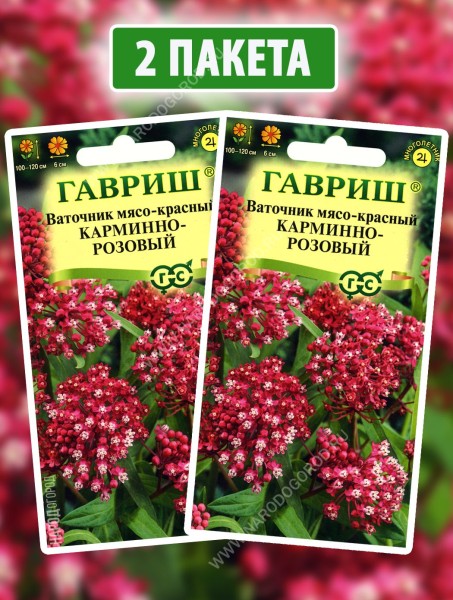 Семена Ваточник Карминно-Розовый, 2 пакетика по 0,03г