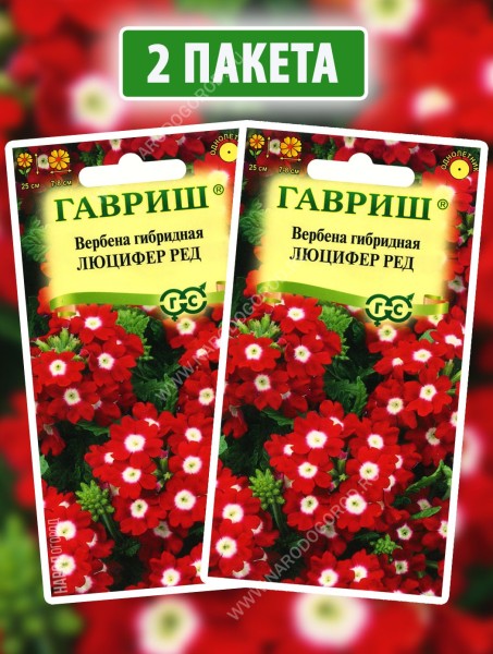 Семена Вербена Люцифер Ред, 2 пакетика по 0,05г
