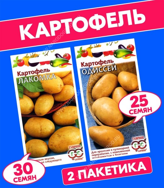 Семена Картофель среднеспелый Лакомка + Одиссей, 2 пакетика