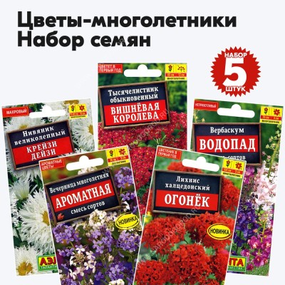 Семена многолетних цветов набор №4 (растения высотой 50-100см) (лихнис, вечерница, вербаскум, нивяник, тысячелистник) - 5 пакетиков