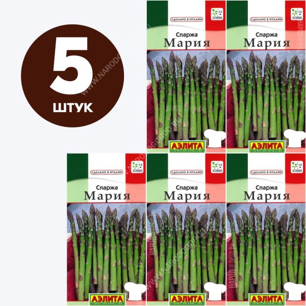 Семена Спаржа для посадки Мария, 5 пакетиков по 0,5г/25шт