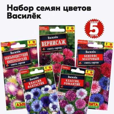 Семена василька (цветы однолетние), комплект 5 пакетиков