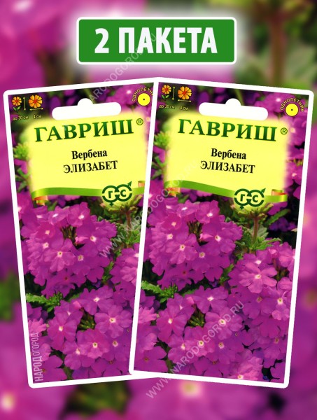 Семена Вербена тонкорассеченная Элизабет, 2 пакетика по 0,05г