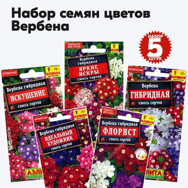 Семена вербены (цветы однолетние), комплект 5 пакетиков