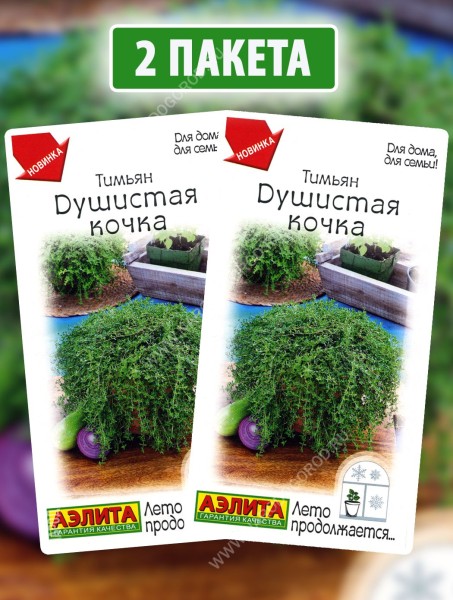 Семена Тимьян Душистая Кочка, 2 пакетика по 0,05г