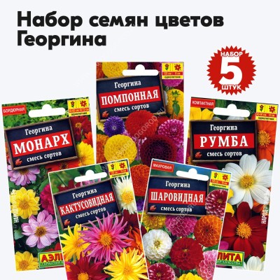 Семена георгины (цветы однолетние), комплект 5 пакетиков