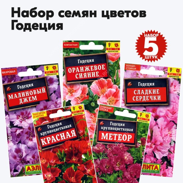 Семена цветов годеция (однолетние цветы для сада дачи), комплект 5 пакетиков