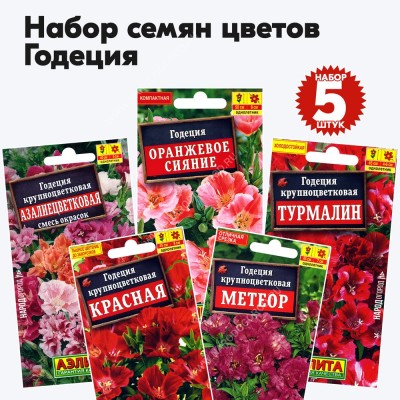 Семена цветов годеция (однолетние цветы для сада дачи), комплект 5 пакетиков