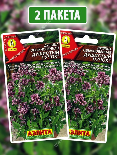 Семена Душица обыкновенная орегано Душистый Пучок, 2 пакетика по 0,05г