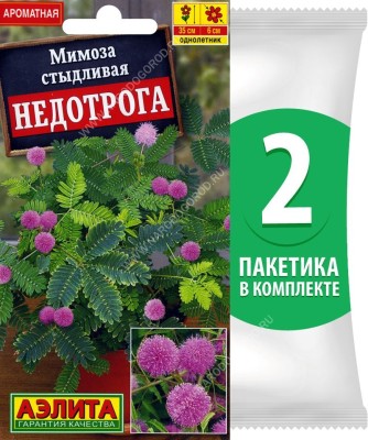 Семена Мимоза стыдливая Недотрога, 2 пакетика по 10шт