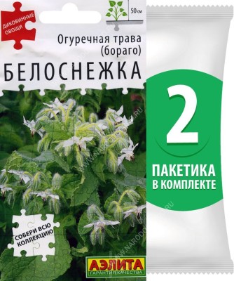 Семена Огуречная трава (бораго) Белоснежка, 2 пакетика по 0,3г/15шт