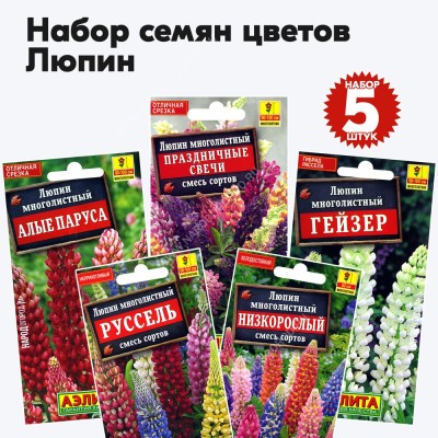 Семена люпина многолетнего (набор семян цветов), комплект 5 пакетиков