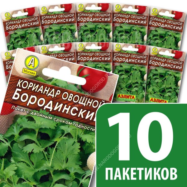 Семена Кориандр для посадки кинза Бородинский, 10 пакетиков по 3г/300шт