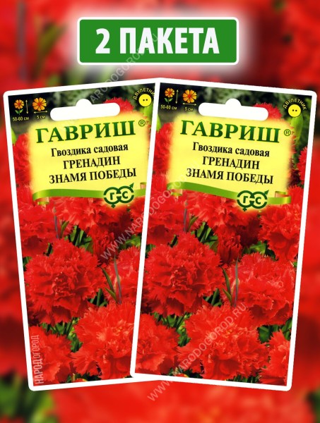 Семена Гвоздика садовая Гренадин Знамя Победы, 2 пакетика по 0,05г