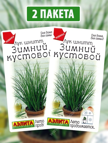 Семена Лук шнитт Зимний Кустовой, 2 пакетика по 0,3г