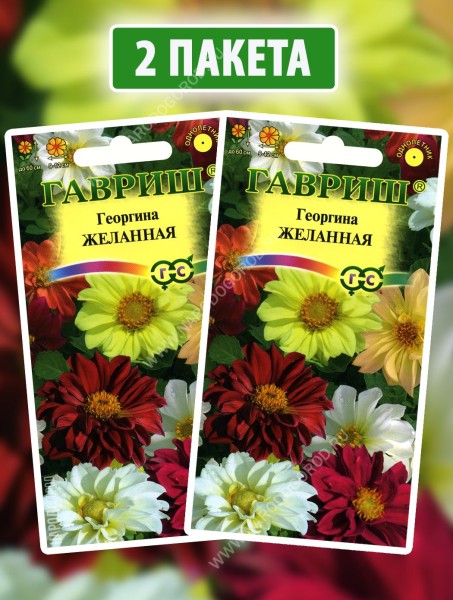 Семена Георгина Желанная, 2 пакетика по 0,3г