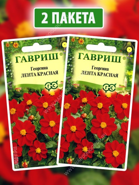 Семена Георгина Лента Красная, 2 пакетика по 0,2г