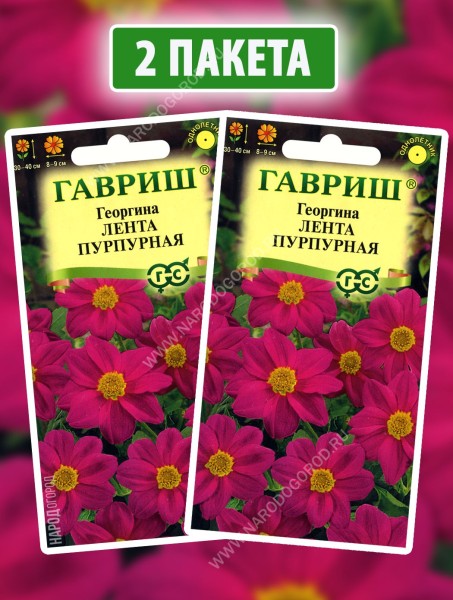Семена Георгина Лента Пурпурная, 2 пакетика по 0,2г