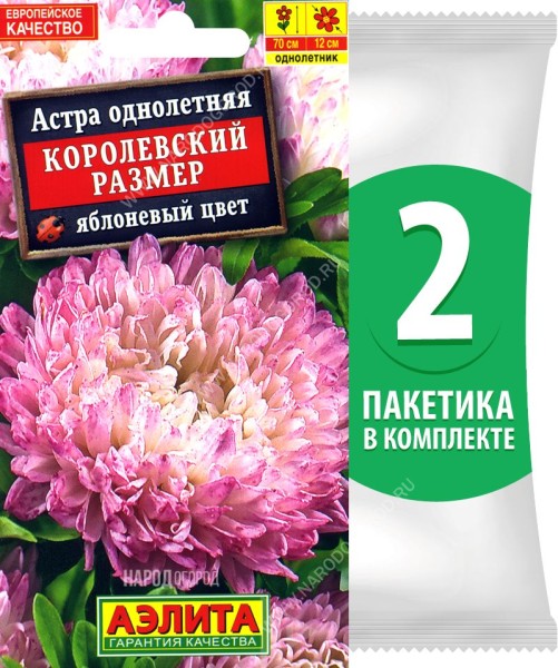 Семена Астра пионовидная махровая Королевский Размер Яблоневый Цвет, 2 пакетика по 0,1г